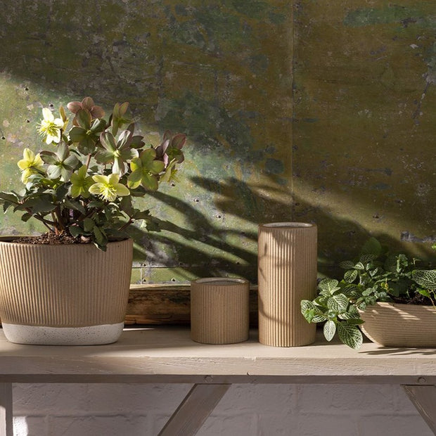 Decorative Bowls Ellison Planter Homeplistic