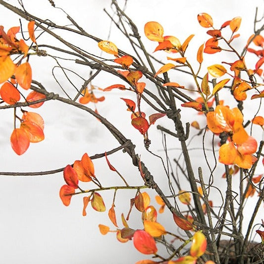  Fall Foliage Branch Homeplistic
