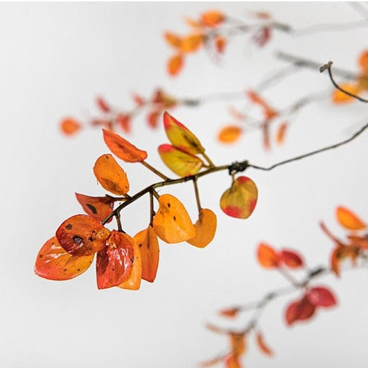  Fall Foliage Branch Homeplistic