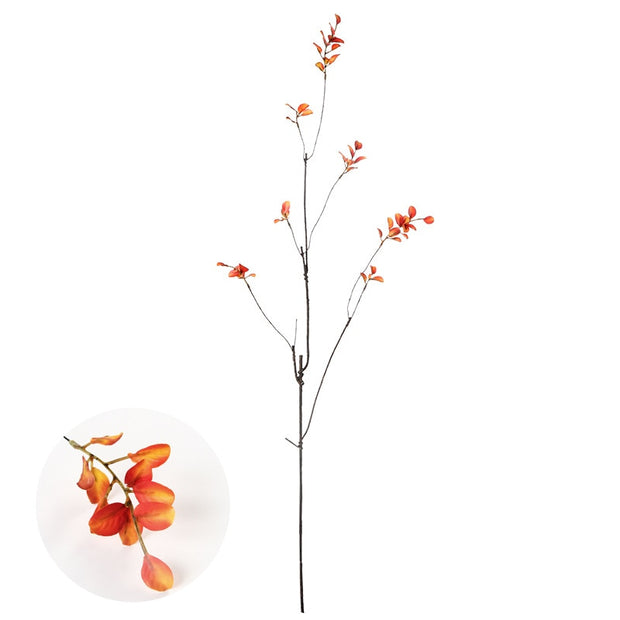 Fall Foliage Branch Homeplistic