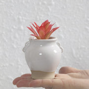Planter Tuscan Mini Ceramic Planters Homeplistic