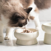 Pet Bowls Jade Ceramic Pet Food & Water Bowls Homeplistic