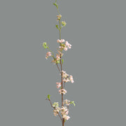  Blooming Willow Branch Homeplistic