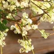  Blooming Willow Branch Homeplistic