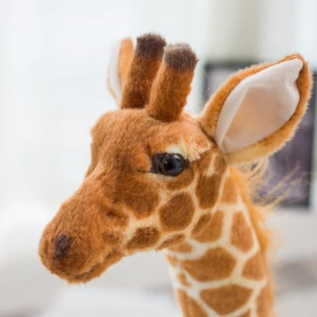 Plush Jumbo Plush Giraffe Homeplistic