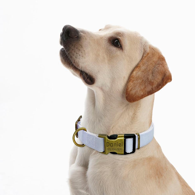 Collar Pastel Custom Engraved Dog Collar Homeplistic