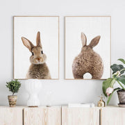 Canvas Prints Peekaboo Bunny Canvas Prints Homeplistic