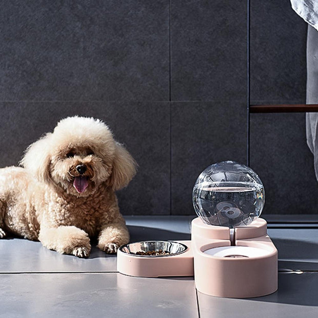 Pet Infinity Food + Water Bowl – Homeplistic