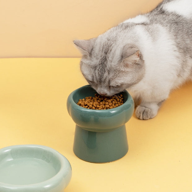Pet Bowls Jade Ceramic Pet Food & Water Bowls Homeplistic