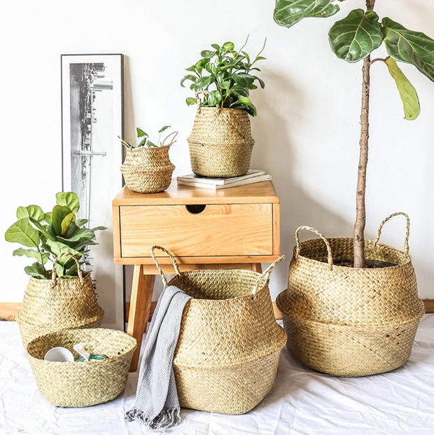 Basket Seagrass Basket Homeplistic