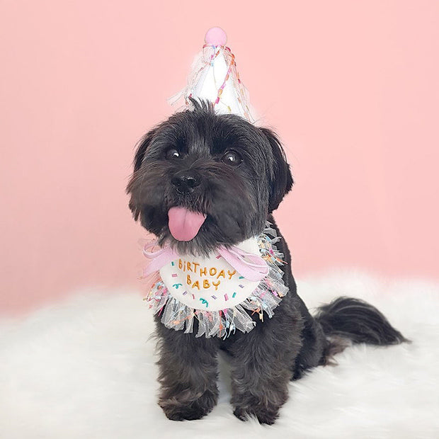 Pet Clothes Birthday Baby Pet Bandana and Hat Homeplistic