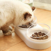 Dog Bowls Pet Infinity2 Food + Water Bowl Homeplistic