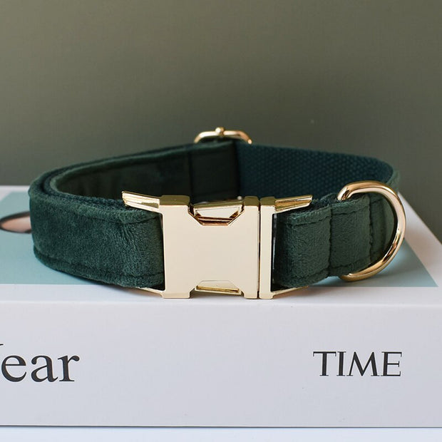 Collar Emerald Velvet Personalized Collar + Leash Homeplistic
